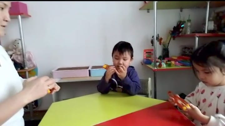 "Жеке баламен жұмыс" Кожабекова С